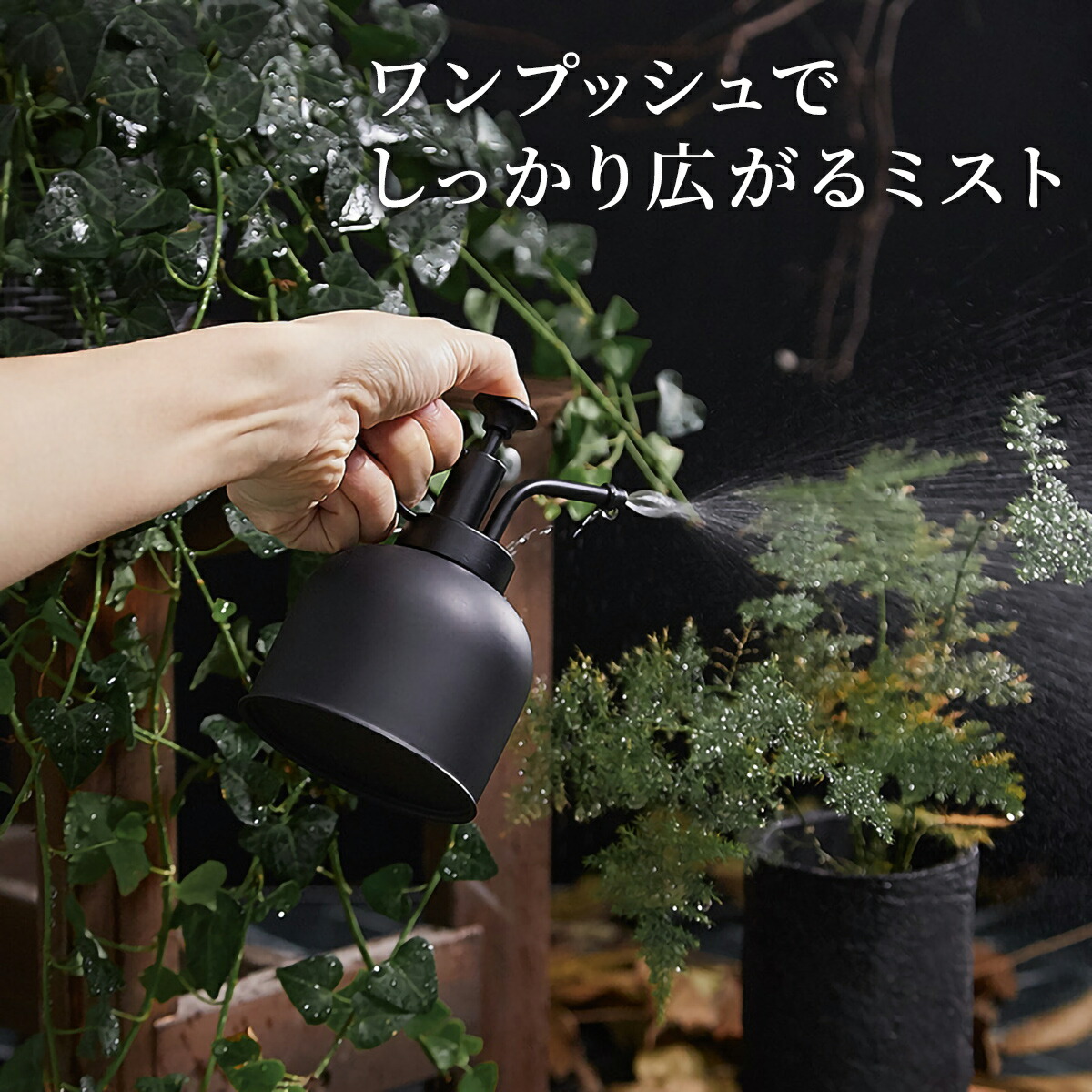 Sale 55 Off 霧吹き おしゃれ 黒 300ml 観葉植物 じょうろ ミスト 漏れない スプレー ステンレス 園芸 あす楽 Sferavisia Hr