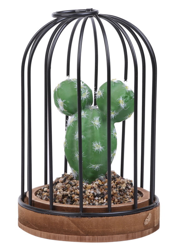 サボテン♡バスケット スポルディング（SPALDING）（レディース）バスケットボール 6号