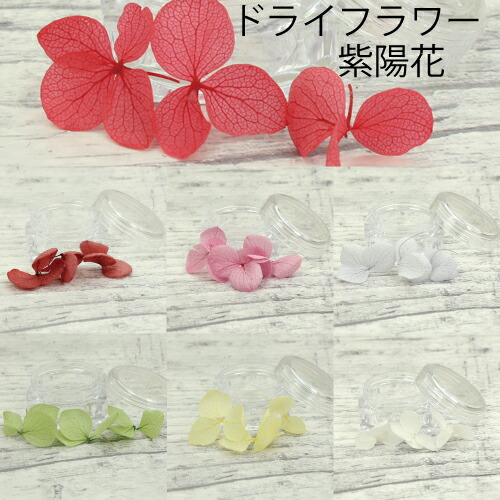 楽天市場 ドライフラワー 紫陽花 あじさい Uvレジン用 3枚入り Uvレジンクラフト ネイル用 デコ素材 ストラップファクトリー