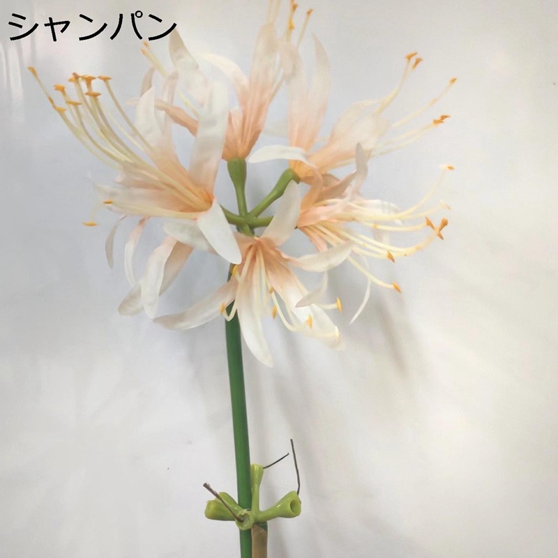 フェイクフラワー 彼岸花 曼珠沙華 造花仕かける 室内装飾 胸花 枯れない緑であること かざり付ける花 観葉草木 本物そっくり 花立ての造花 水やり不必要 北欧 工芸 ins 差し上げ物 差し上げ物 飾り付け用 ガーデニング 花束 観葉植物-花・ガーデン・DIY-花・観葉植物
