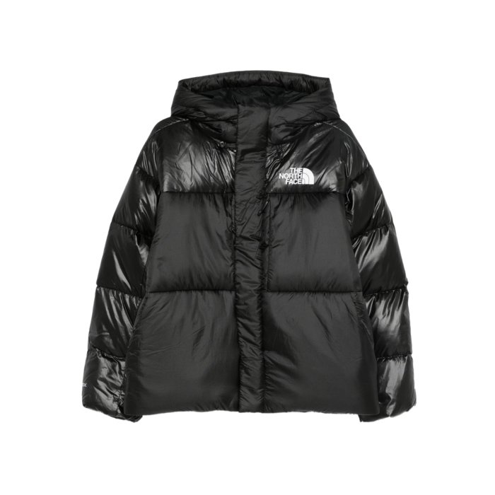 楽天市場】THE NORTH FACE ザ ノースフェイス 900LTD SUMMIT ダウン