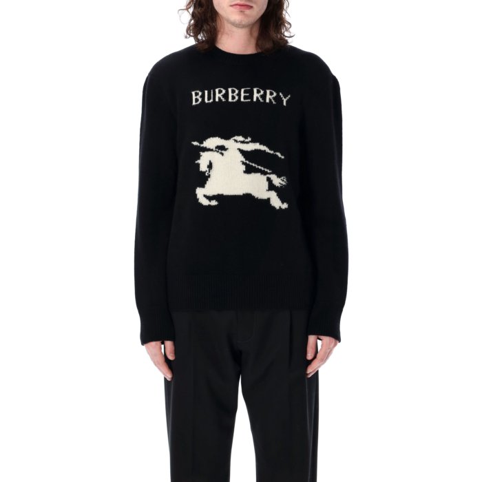 BURBERRY パーカー エンブロイダリー EKD フーディー 8072753 BURBERRY パーカー エンブロイダリー EKD フーディー 8072753