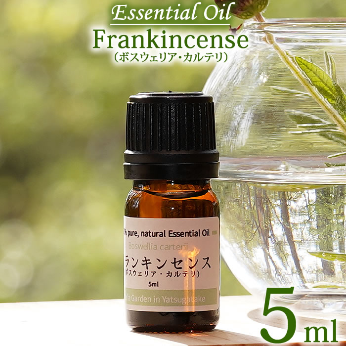 楽天市場】【カリフォルニア産ホワイトセージ 2ml】ホワイトセージ カリフォルニア産 2ml エッセンシャルオイル 精油 無農薬 無添加 オーガニック  White sage Essential Oil Salvia apiana : ステラガーデン in 八ヶ岳