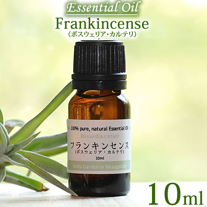 楽天市場】【上質】【サクラ 10ml】フランキンセンス ボスウェリア・サクラ 10ml エッセンシャルオイル 精油 オーガニック  Frankincense Essential Oil Boswellia sacra ニュウコウ : ステラガーデン in 八ヶ岳