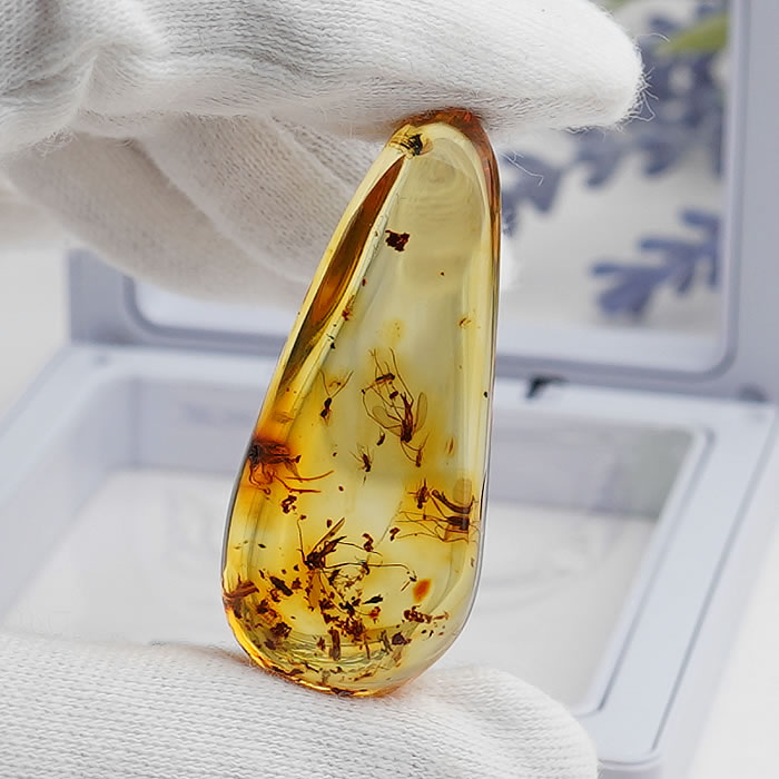 【一点物】【希少】約4000万年前の松柏類の樹脂が化石化した有機物 天然虫入り琥珀 アンバー ルース バルト海産｜ステラガーデン in 八ヶ岳