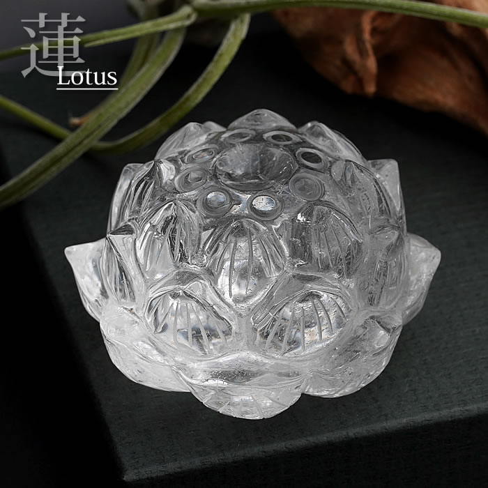 オーストリア水晶 蓮香 珍しい形の水晶クラスター °˖✧ 蓮華水晶 ✧˖° | MENOYA Group SHOP