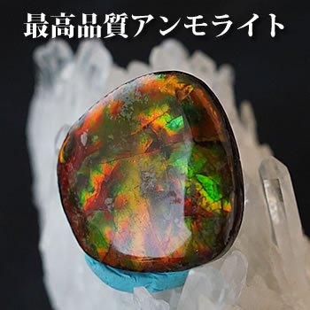 楽天市場】○高発色【アンモライト ドラゴンスキン【竜の鱗