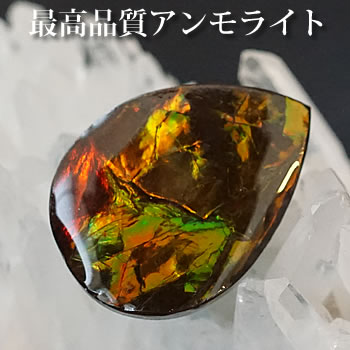 楽天市場】○高発色【アンモライト ドラゴンスキン【竜の鱗