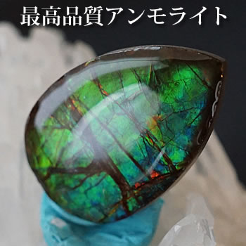 ちびのすけ　究極品質　時空超えし奇跡の宝石　幻のドラゴンスキンアンモライト ちびのすけ 究極品質 時空超えし奇跡の宝石 幻のドラゴンスキン