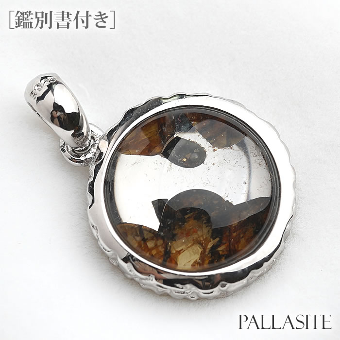 パラサイト 天然隕石 SV925 ペンダントトップ ネックレス 天然石 パワーストーン Pallasite メテオライト