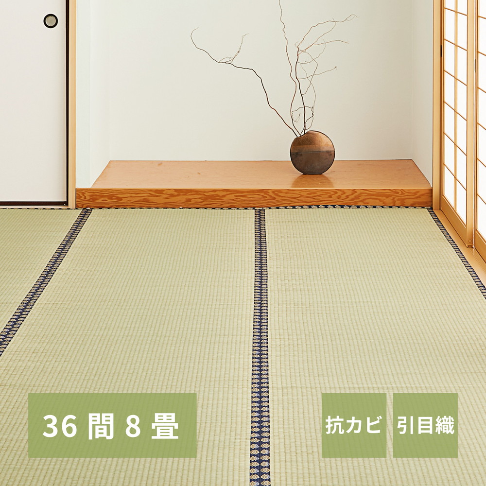 い草上敷き 36間 8帖 8畳 約364×364糎 引目織 思わしい 持ちこたえる 和風 和室 無地 抗菌類 消臭 ござ い草引っ敷き 引っ敷き 畳の上に敷くその儀 和風床材 井草 イグサ いぐさ 畳取り替えっこ 畳替え 表替え 洗い濯ぎし分かりやすい