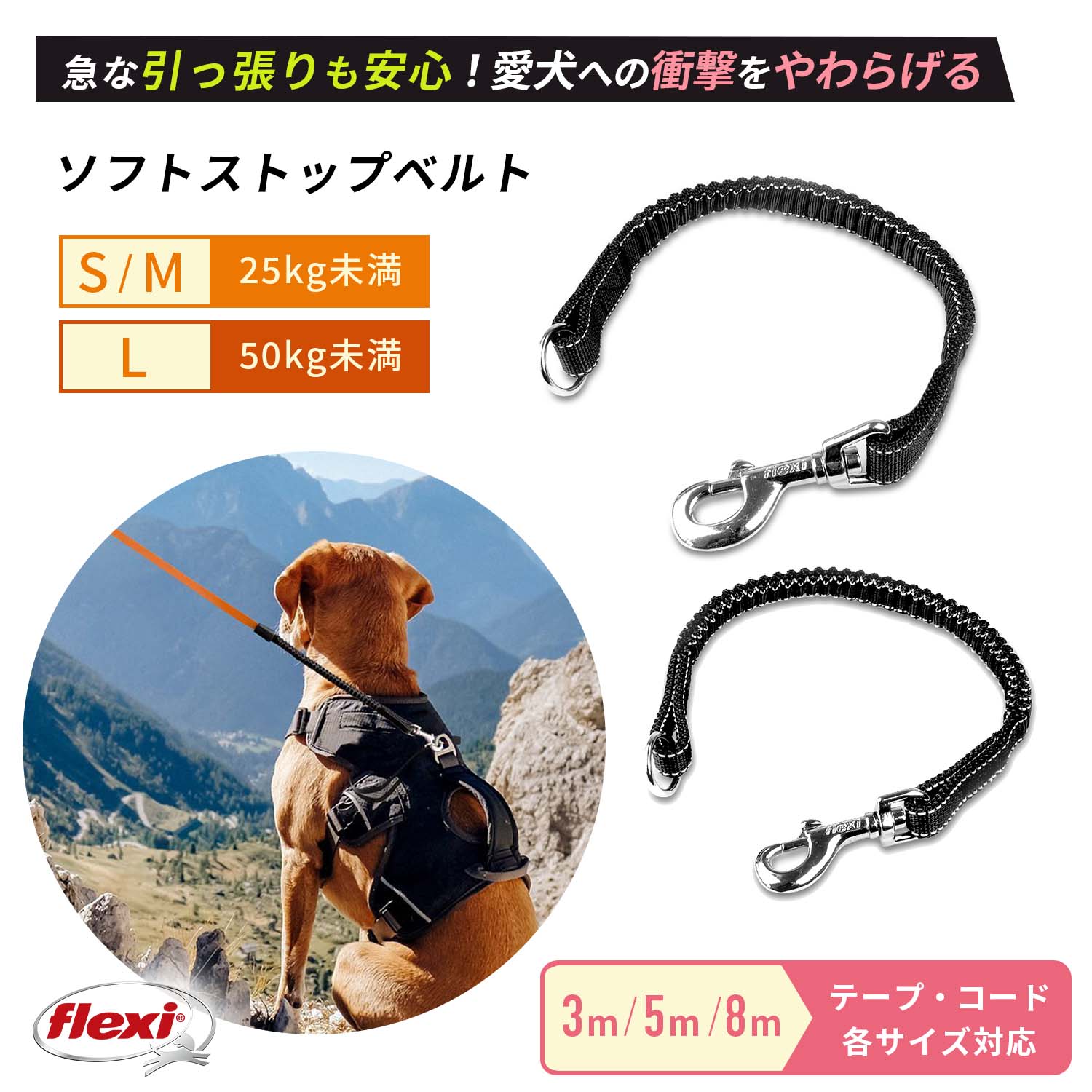 フレキシ flexi ジャイアント テープ L 50kg未満 10m プロフェッショナル 犬用リード 史上最も激安