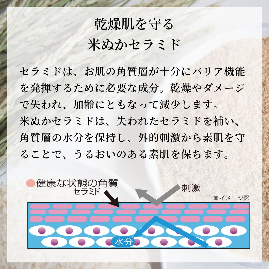 高保湿 バーム 香り うるおい 化粧品 スキンケア 米ぬか 和スイーツの香り 米ぬか油 保湿成分 セラミド 全身使える ヘアオイル リップバーム プレゼント ギフト 可愛い 神戸美人ぬか 桜 抹茶 柚子 米ぬか和スイーツバーム 3種類セット 25g 3 Salon Raquet De