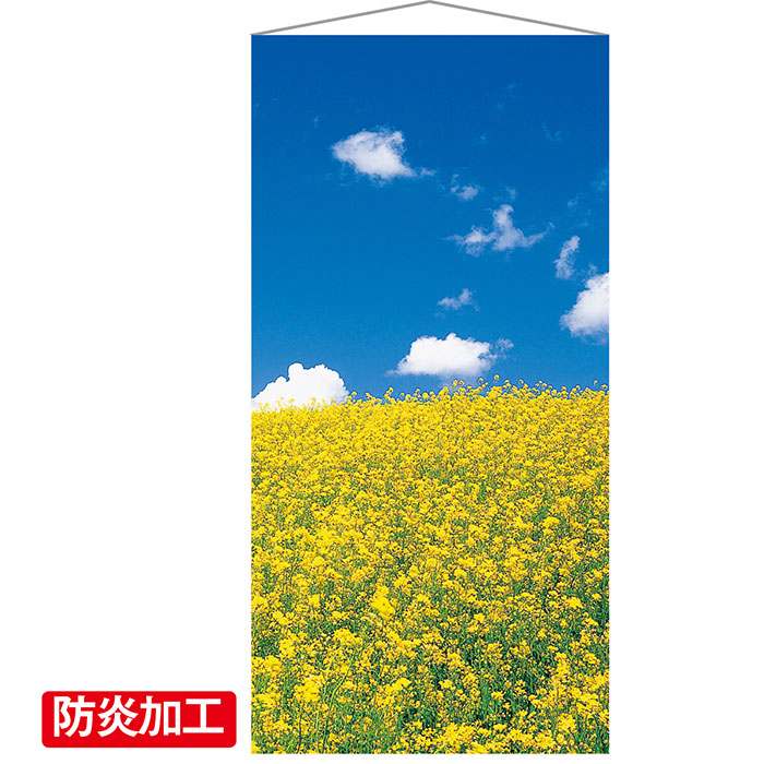楽天市場 タペストリー 菜の花 1枚春のイメージのタペストリーは売場を明るく演出します 吊るだけカンタン春装飾 防炎加工がされているので公衆 の集まる施設など 防炎製品の設置が必要な場所におすすめです 店舗ディスプレイ用 菜の花 タペストリー 大きい ストア