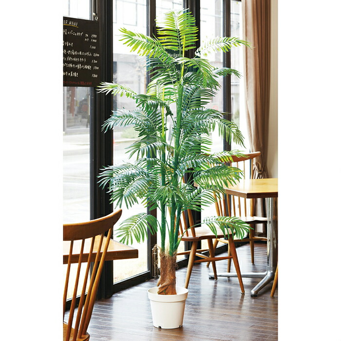 楽天市場 アレカヤシ 2台セット夏に人気のトロピカルディスプレイにぴったりな人工樹木です エントランスや広い店舗空間にぴったり 人工素材でお手入れ不要です オフィスインテリアとしてもおすすめ フェイクグリーン 人工観葉植物 おしゃれ 大型 ハワイアン ストア