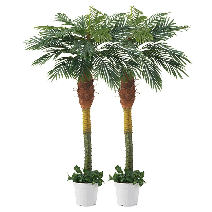 はなやかパーム樹 2タワー背景トロピカル誇示に犇犇な人工樹成木 ココナッツの付いていないヤシ科です 玄関先や広範囲売店にぴったり 人工素でお修造不必要 ヤシの木 にせ物翠 立ち木 パームツリー ハワイアン 大型 鯔背 Utb Ac Rw