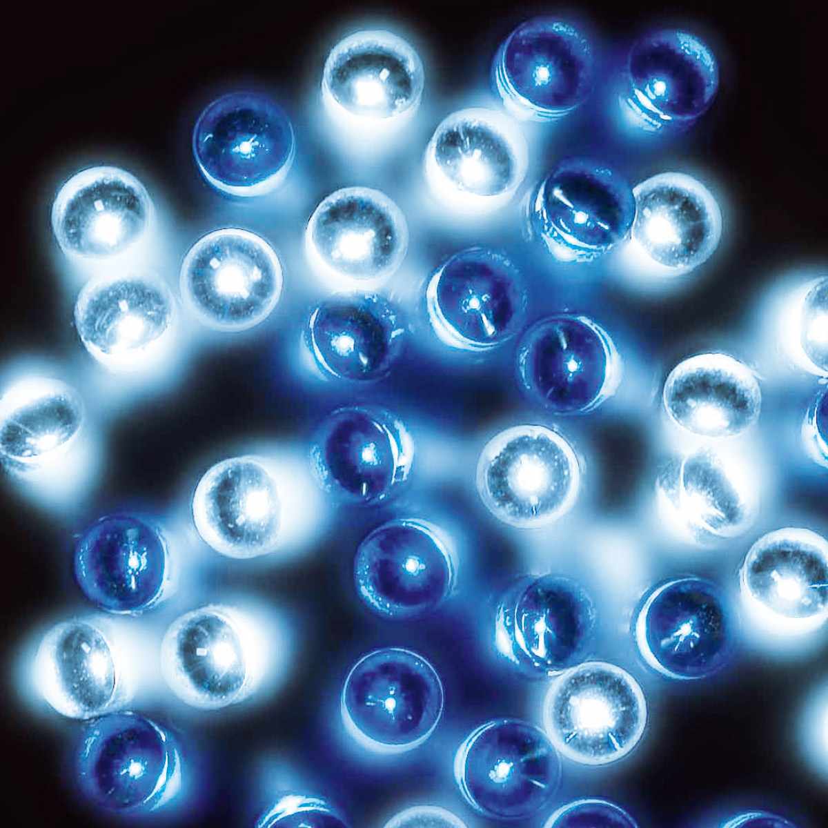 楽天市場】【200球】LEDストレートライト ホワイト／ブルー【光の演出