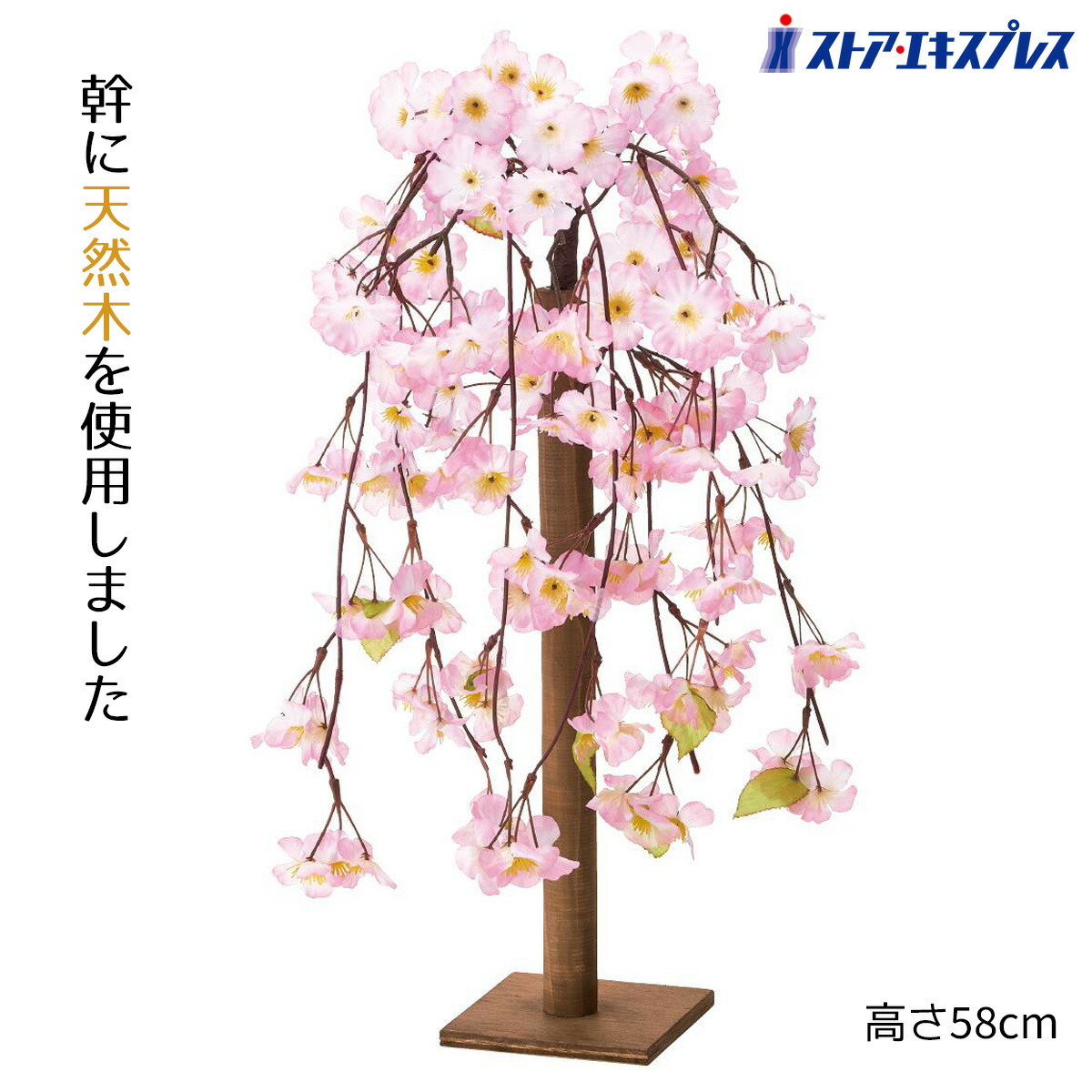 楽天市場】【天然木使用】卓上桜立木 高さ40cm 1台卓上の立ち木で