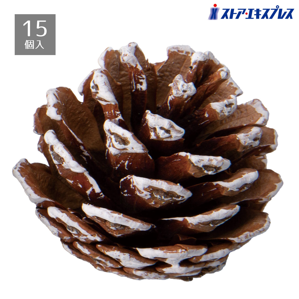 松ぼっくり 楽天市場】松ぼっくり 小型 Pinecone 強化プラスチック（FRP