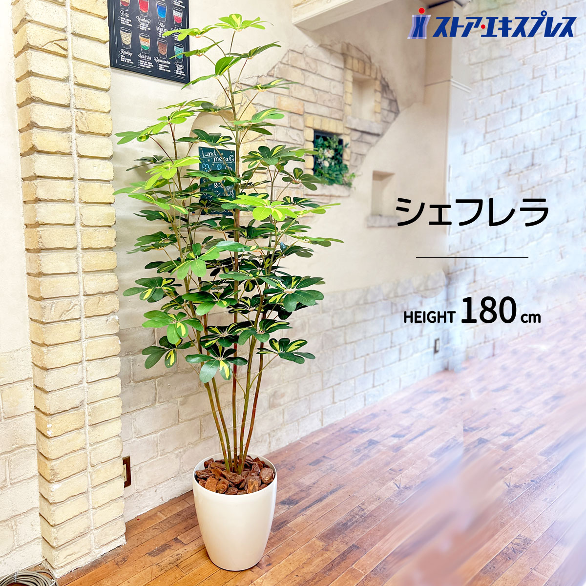 楽天市場】【光触媒加工】シェフレラ 150cm 1台お手入れ不要