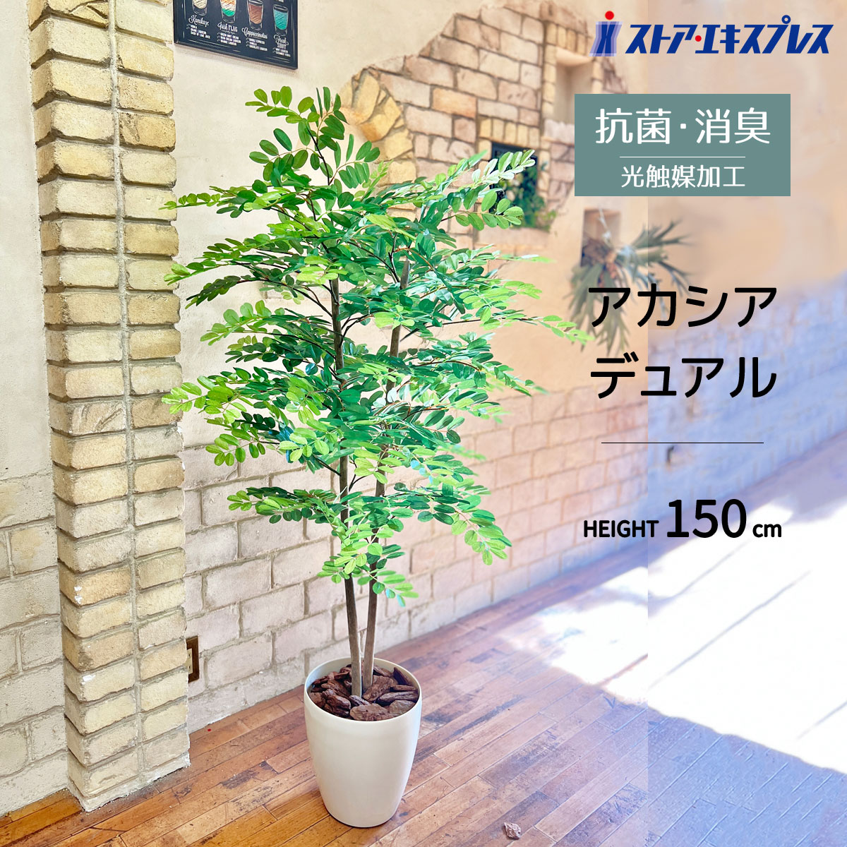 人工観葉植物 アカシアデュアル 200 ポット付き 高さ200cm （P80-98975) （代引き不可） 人工観葉植物 アカシアデュアル 200 ポット付き 高さ200cm （P80-98975