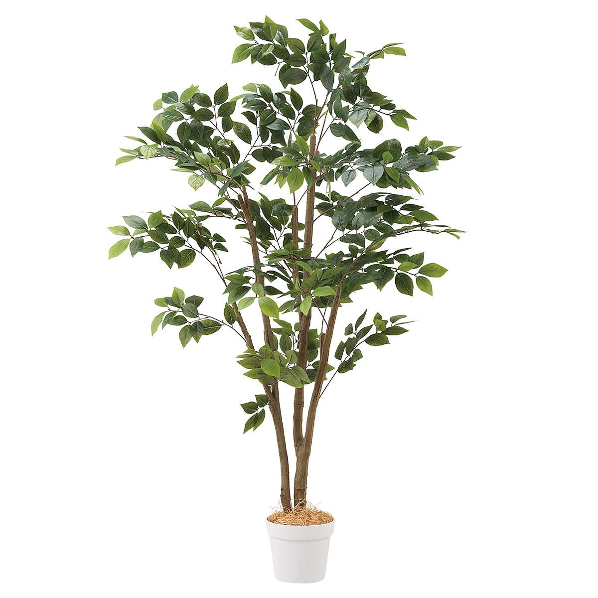 楽天市場】パキラ(人工樹木) 高さ180cm 1台本物みたいな、リアルな