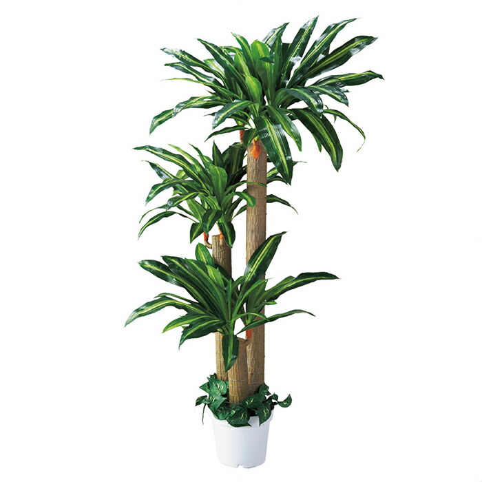 幸福の木 人工樹木 H180cm 1台ここでしか買えない ストア エキスプレスオリジナル商品お手入れ簡単 オシャレな空間を演出できる人工樹木 フェイクグリーン 人工観葉植物 人工樹木 おしゃれ 大型 送料無料 フェイクグリーン 人工観葉植物 人工樹木 おしゃれ 大型 室内使用