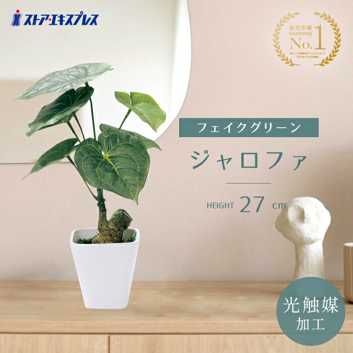 楽天市場】【光触媒加工】ラウンドポット ユーカリ 1個アクセント