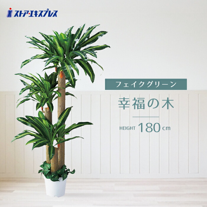 楽天市場】デラックスパームツリー 180cm 1台 フェイクグリーン 楽天市場】デラックスパームツリー 180cm 1台 フェイクグリーン