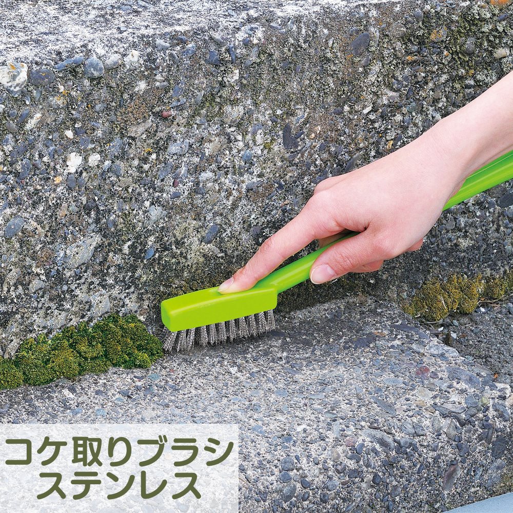 楽天市場】アズマ公式 コケ取り ブラシ ステンレス BA725