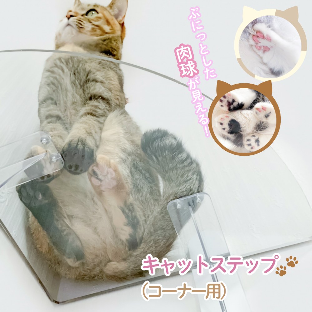 [PR]当店ご当て嵌めるの取り引き先へ 移動性人並み外れた出むかえ社会的運動のごお引き回し