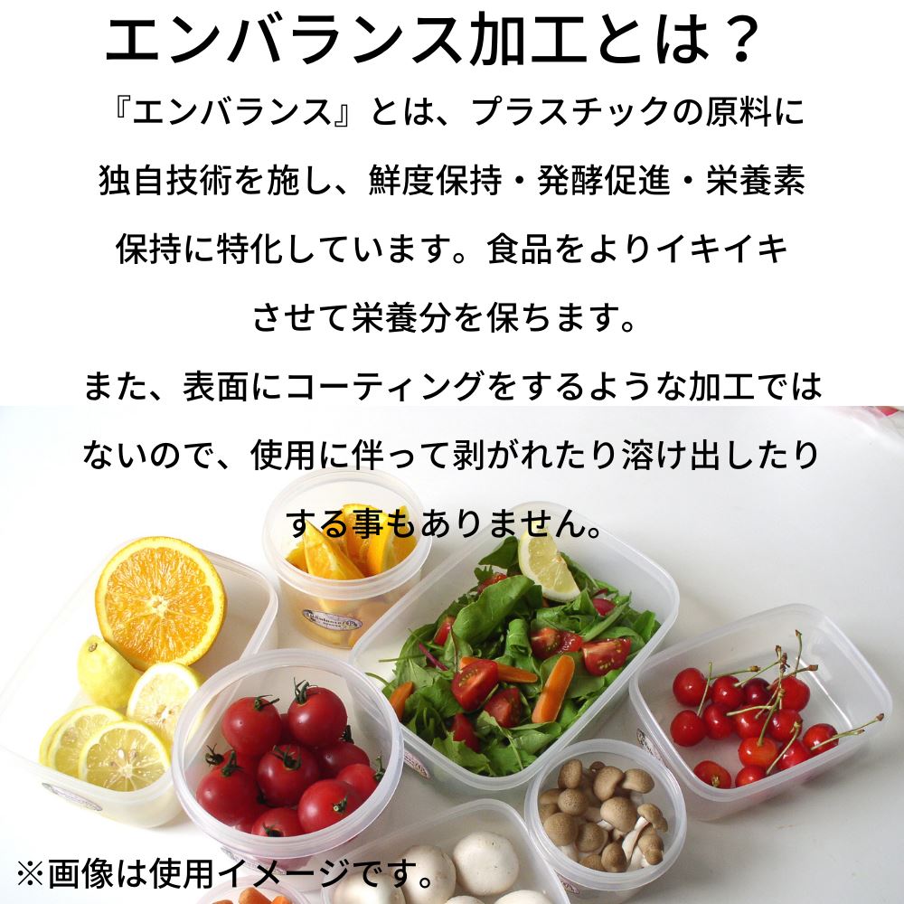 エンバランス 鮮度 保持容器 角型 S 590ml | レクタングルコンテナ