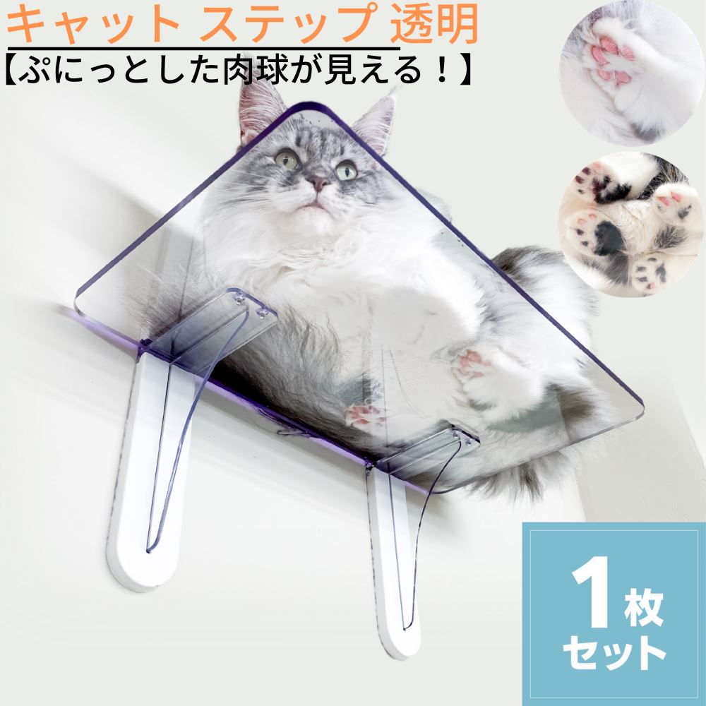 楽天市場 送料無料 キャット ステップ 透明 3枚セット キャットウォーク キャットタワー 猫 ねこ ネコ 肉球 透明 壁付け 壁掛け ハウス 室内 人気 運動不足 安定 かわいい おしゃれ 壁 Diy 上下運動 クリア 遊び コレクション フィギュア 棚 スタンド 壁 空間 演出