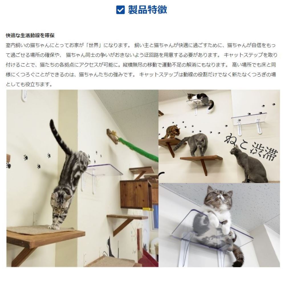 送料無料 キャット 足付 読み易いー 1枚セッティング キャットウォーク キャット楼観 ネコ ねこ ネコ 肉球 透明 垣根後ばらい 飾り 住み処 室内 信望 エクササイズ欠失 兼ね合い かわいい 粋 壁 Diy 上下運動 クリア 心慰 Daemlu Cl