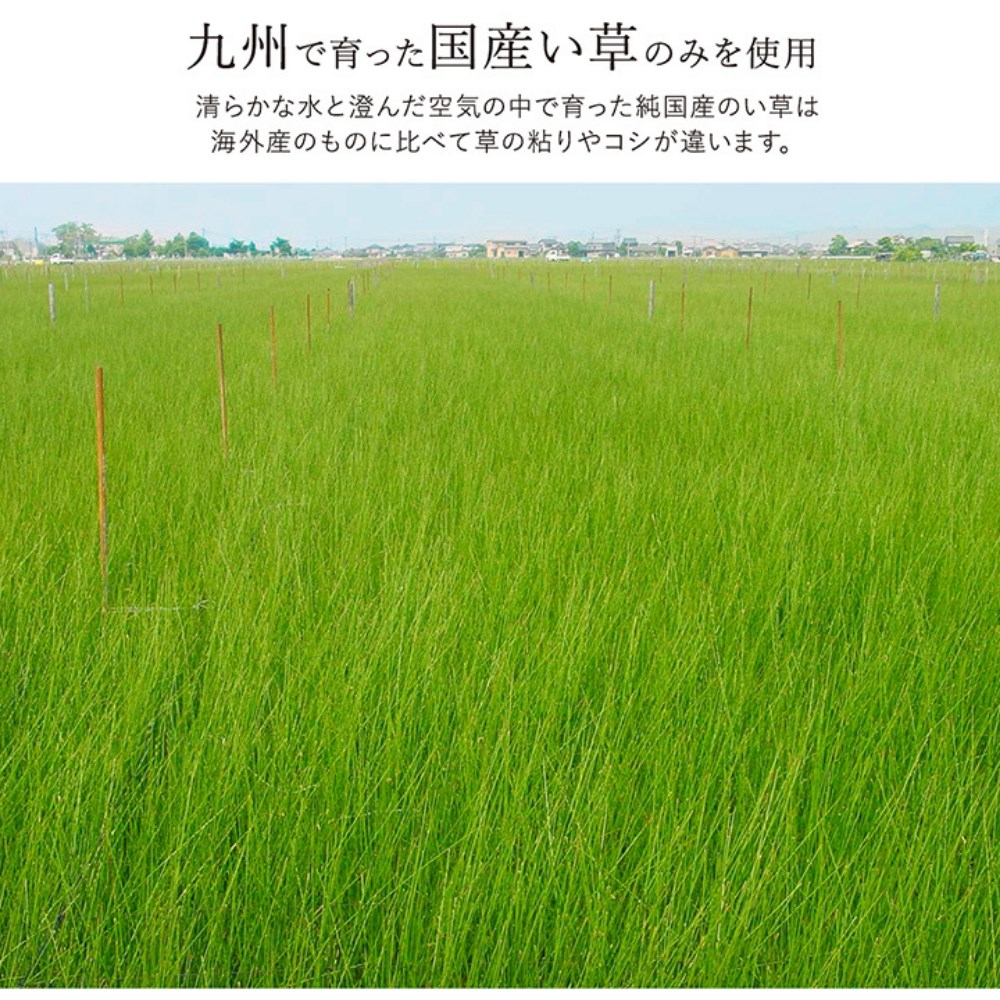 い草ラグマット絨毯約191×191cm|日本製抗菌防臭調湿消臭防滑機能ウレタンリビングカーペットマットい草マット裏貼り加工付き滑りにくいシンプル国産イ草フロアマット防滑無地風自然素材弾力性耐久性湿度調節ラグFソリッドイケヒコ