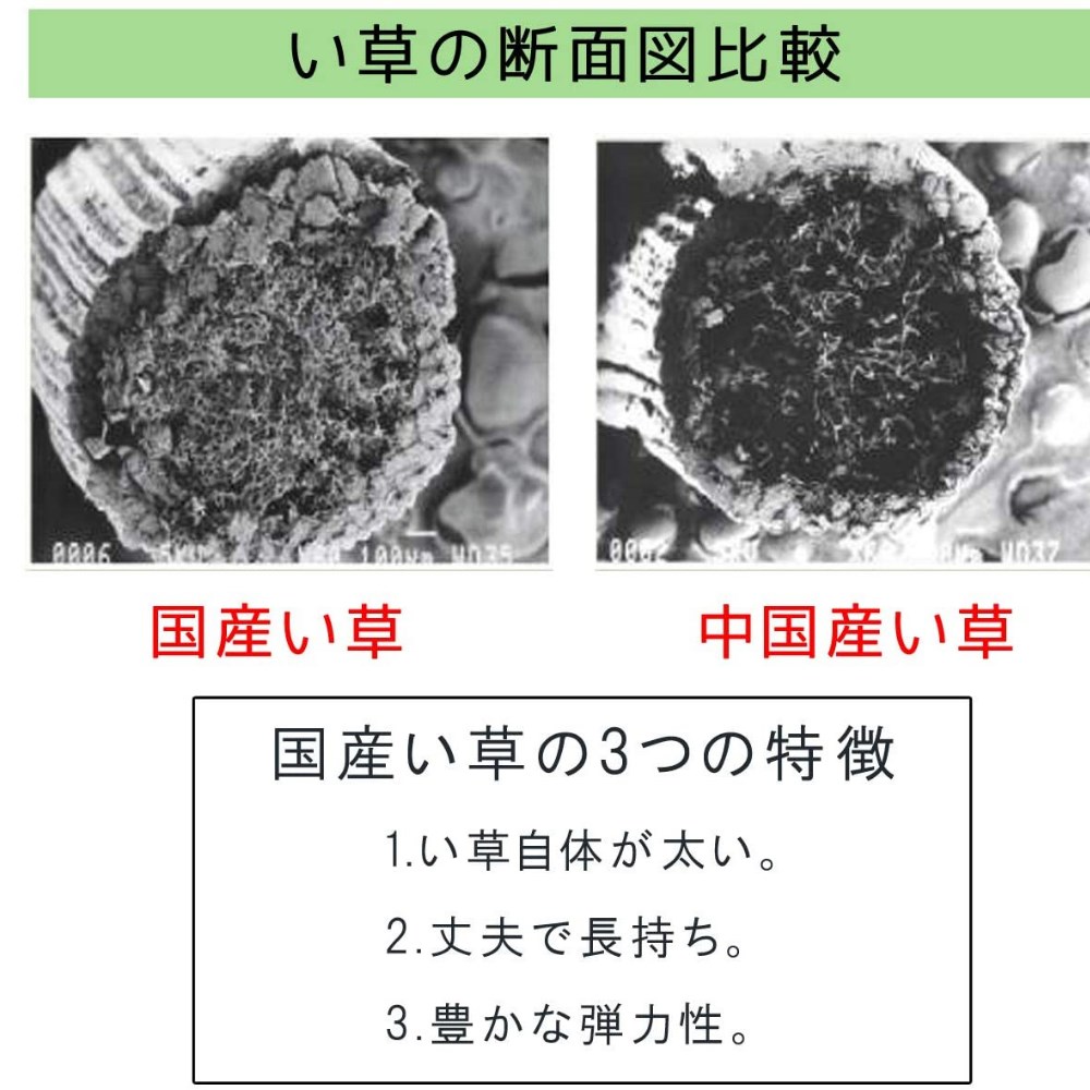 特別セール品 純国産 日本製 掛川織 い草御前 仏前 座布団 松川 約70 70cm いぐさマット 冷感マット座布団 座ぶとん ざぶとん 国産 い草 敷物 敷き物 敷きもの 調湿 抗菌 防臭 クッション 和室 お盆 仏壇 お坊さん ご僧侶 住職 年配 風流 伝統的 夏