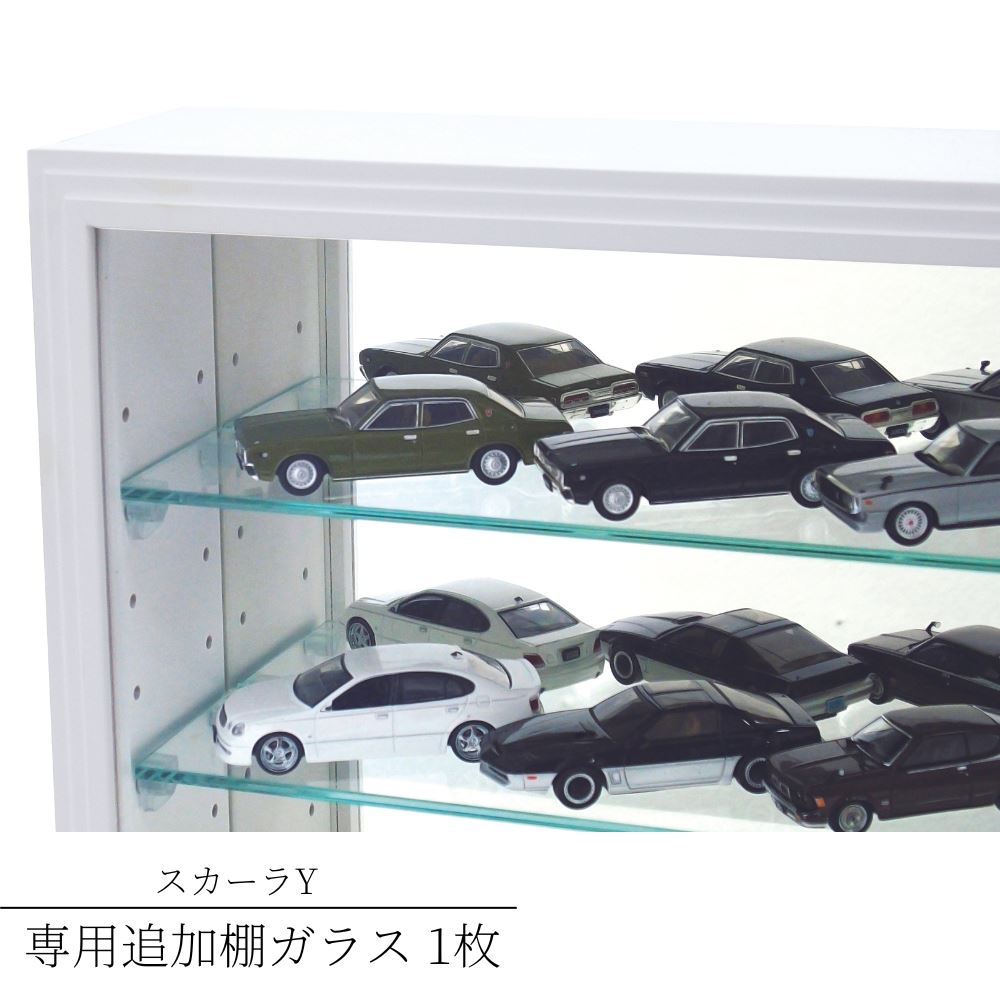 楽天市場】【メーカー直送品】コレクションケース コレクション