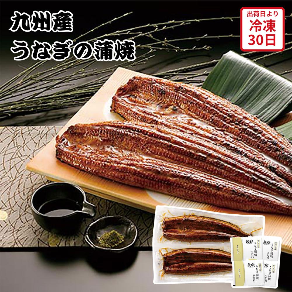 【メーカー直送】九州産 うなぎの蒲焼 専門店の味 うなぎ 鰻 ウナギ たれ 山椒 和食 食べ物 喜ばれる 夏ギフト 冬ギフト お中元 内祝い 贈答 贈り物 プレゼント お礼 お返し | うなぎ蒲焼 国産 長焼き 冷凍 うな丼 お取り寄せ ギフト 【全国離島不可】