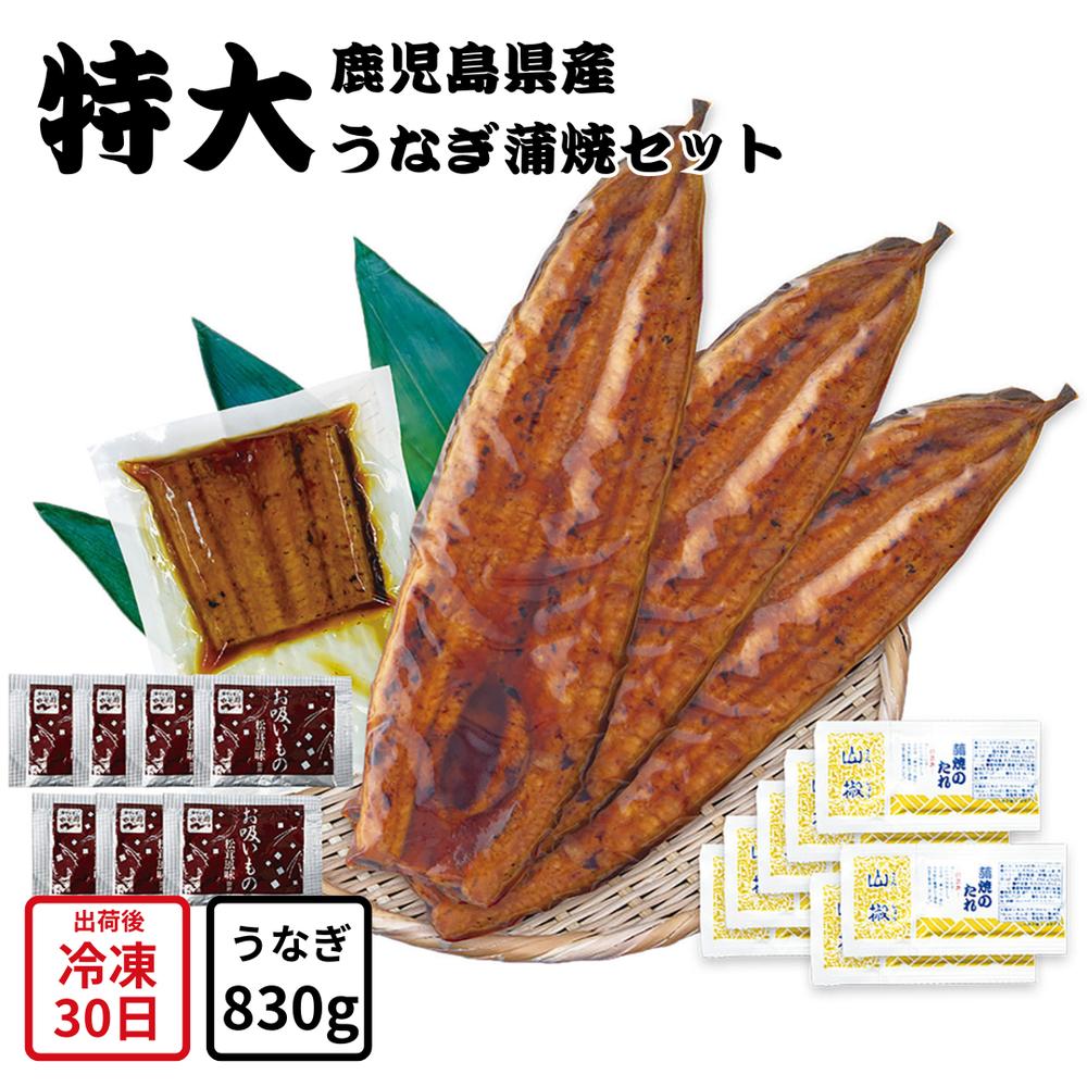 【メーカー直送】特大 鹿児島県産 うなぎ蒲焼 セット 永谷園 お吸い物付 松茸風味 鹿児島県 鰻 うなぎ ウナギ 蒲焼 食べ物 喜ばれる 夏ギフト 冬ギフト お中元 内祝い 贈答 贈り物 プレゼント お礼 お返し | 国産鰻 冷凍うなぎ 長焼き カットうなぎ