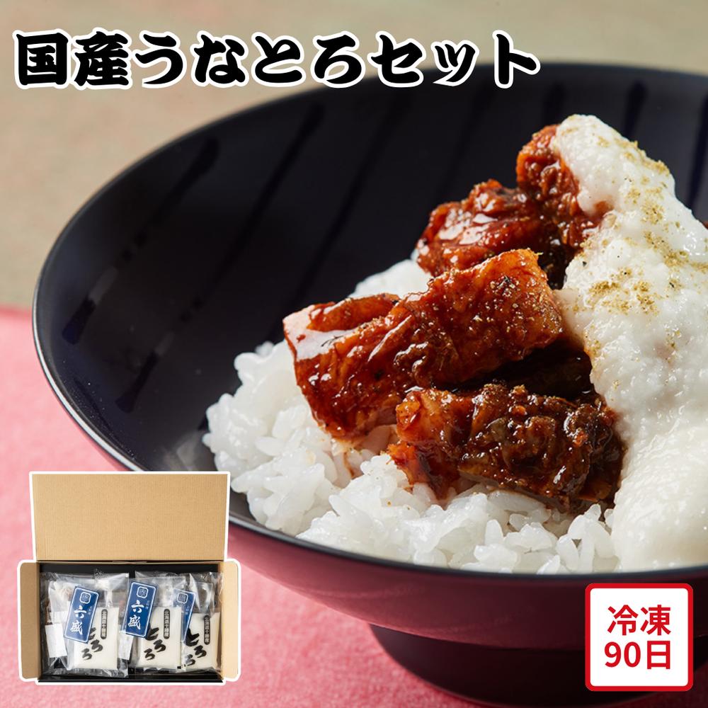 【メーカー直送】国産 うなとろ 京料理 六盛 うなぎの蒲焼 とろろ芋 鰻 うなぎ ウナギ 食べ物 夏ギフト 冬ギフト お中元 内祝い 贈答 贈り物 プレゼント お礼 お返し | うなぎ とろろ セット 鰻丼 蒲焼き 冷凍惣菜 お取り寄せ グルメ【離島不可】