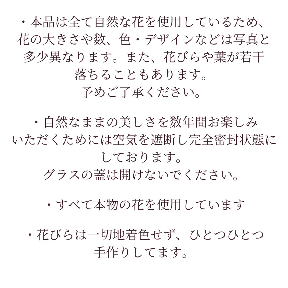 地域限定送料無料 業務用 ロイヤルシェフ 1ケース 750201000c 1kg パン粉ソフトフレークス 10入 常温