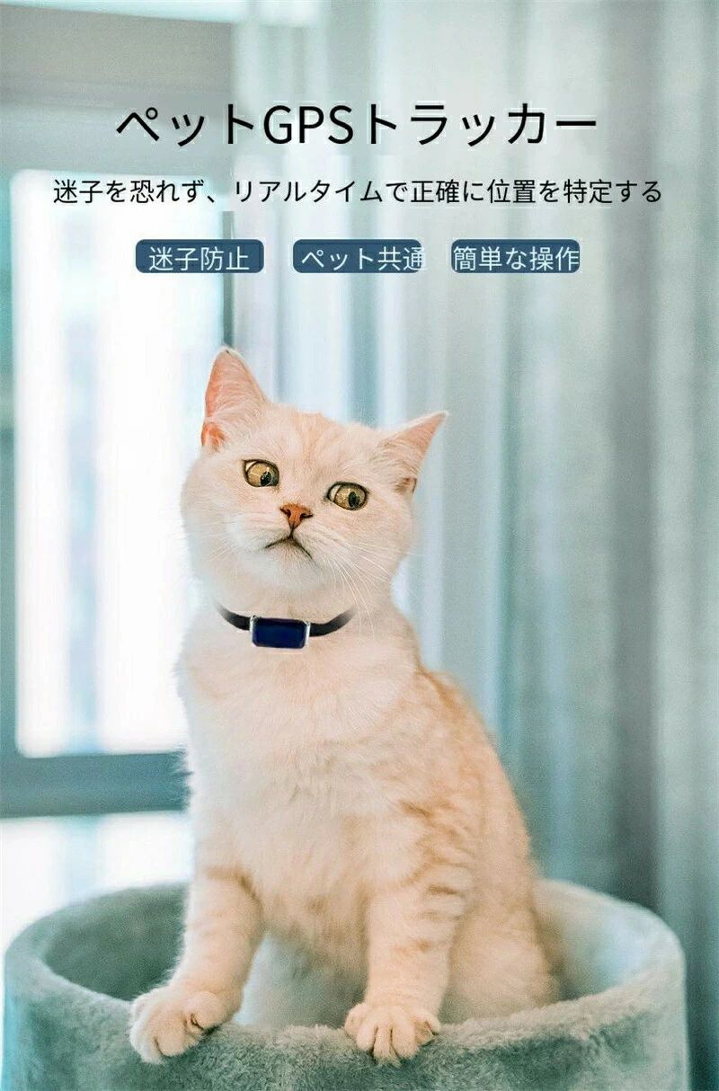 頸飾り 先んじる 頸飾り 愛玩動物 思わしい管理すること お休み管理すること キロカロリー使い果たす おほっつき歩く第四次元 追いかける活動の領域無押さえる pgs 猫 犬 リアルタイム追いかける