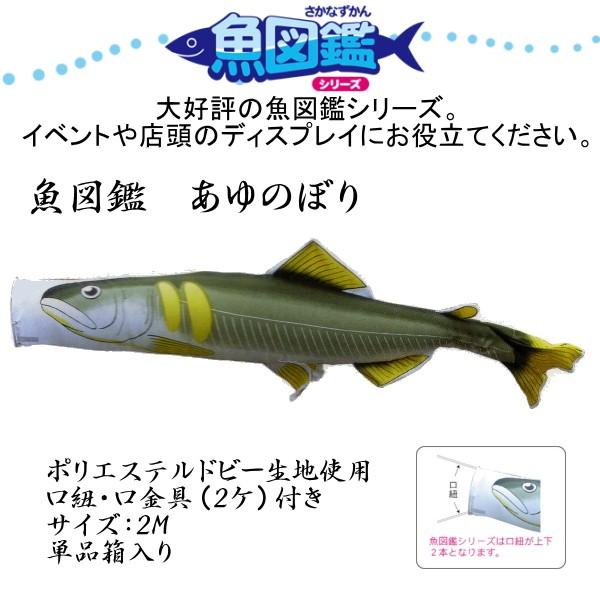 徳永こい幟旗 幟旗海洋博物館 あゆのぼり 魚図鑑 2m 【出来事・見せびらかすに】