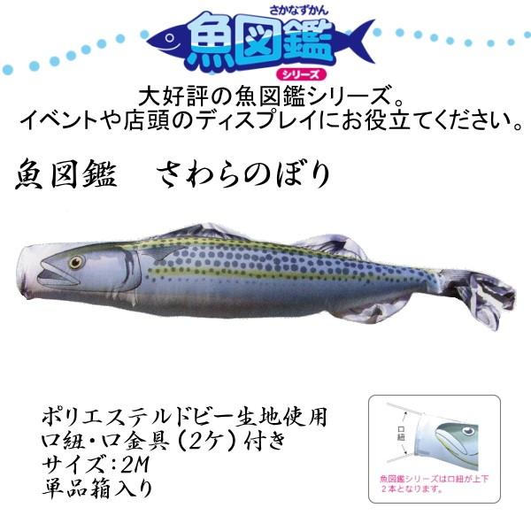 徳永こい旗幟 旗幟海洋博物館 さわらのぼり 魚図鑑 2m 【でき事・見せびらかすに】