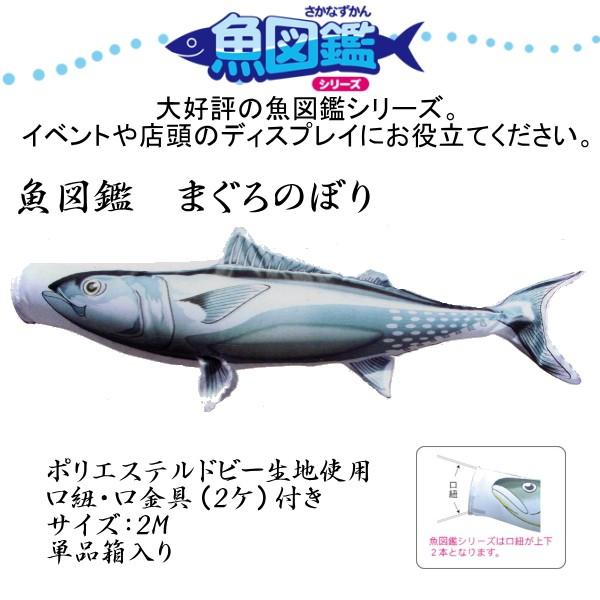 徳永こい幟旗 幟旗海洋博物館 まぐろのぼり 魚図鑑 2m 【出来事・見せびらかすに】