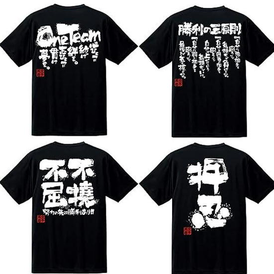 楽天市場】送料無料 Tシャツ バレーボール バレー バレーボール練習着