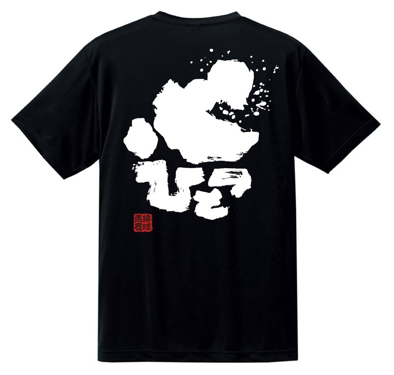 バレーボール　Tシャツ　JAPAN練習着 nisumo_hs.jpg