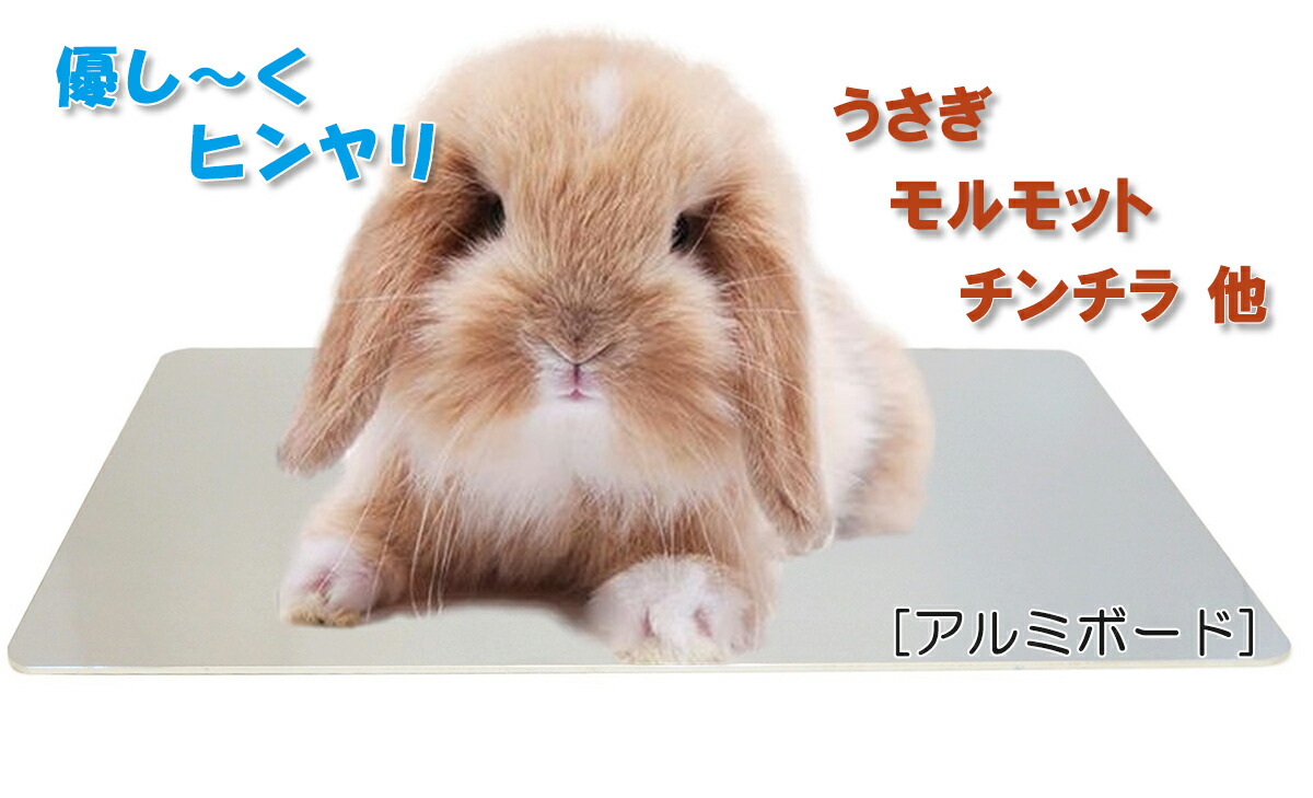 楽天市場 うさちゃんのひんやりアルミトンネル 夏 ひんやり クール ハウス アルミ 寝床 固定 うさぎ ウサギ ラビット マルカン Marukan Minimal Land 小動物専門店ヘヴン