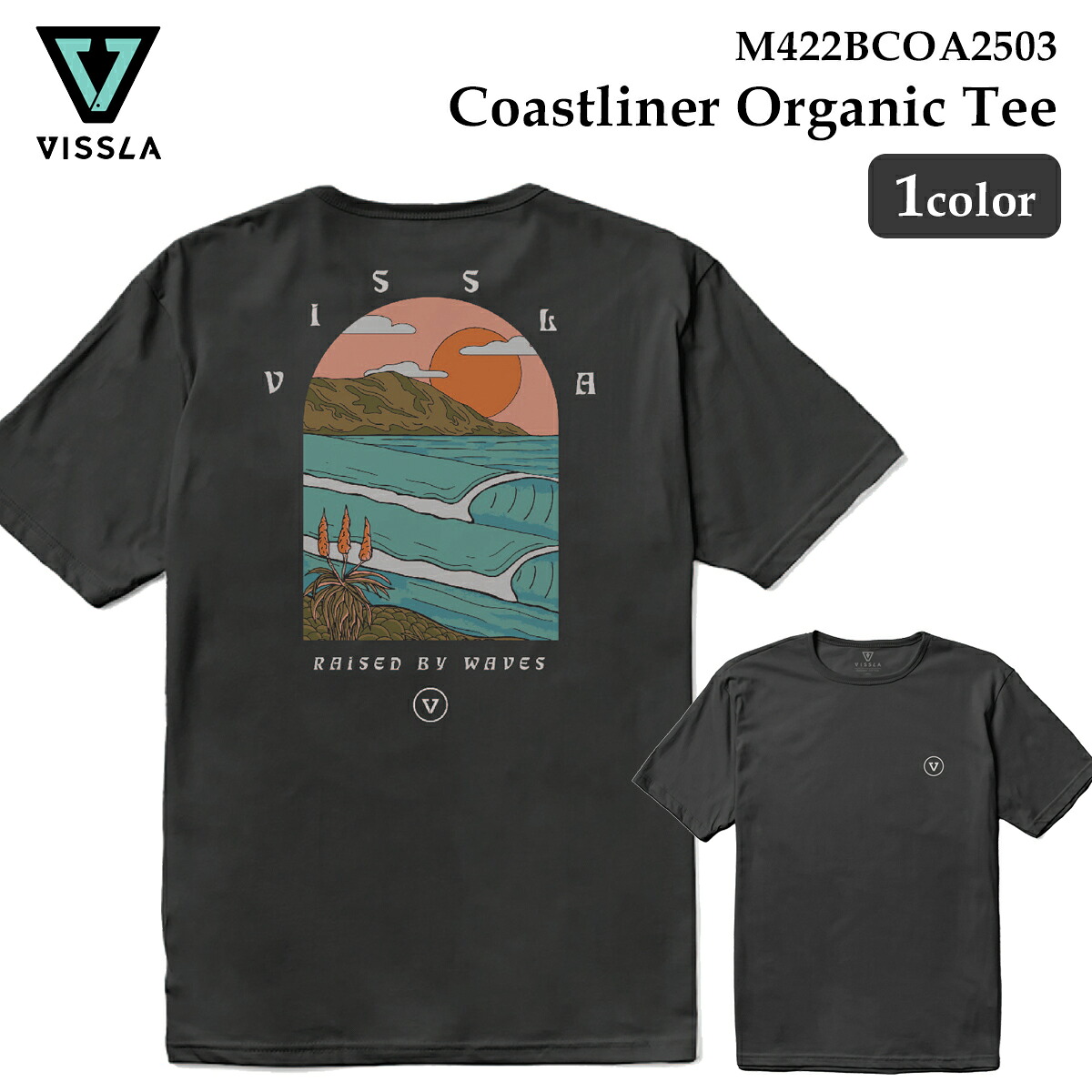 【4/4～4/9エントリーでP10倍】25 VISSLA ヴィスラ Tシャツ Coastliner Organic Tee 半袖 コズミックウォッシュ加工 ヴィンテージ加工 ユニセックス 品番 M422BCOA2503 2025年秋冬 日本正規品 vissla