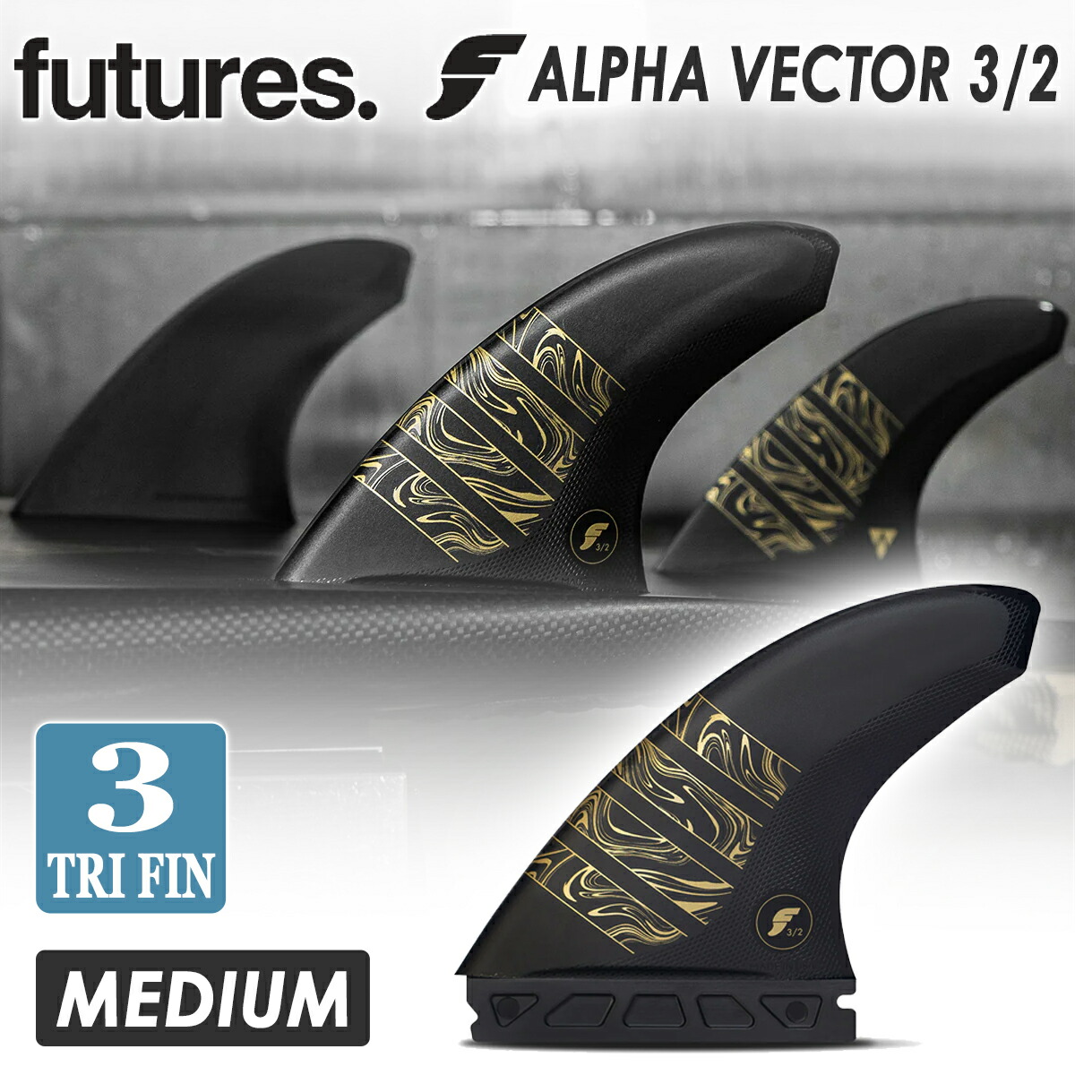 vector01.jpg